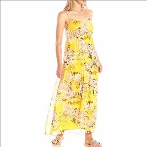 Paris Sunday Maxi Dress